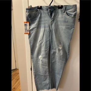 Buffalo jeans. Brand new. With tags 16x36